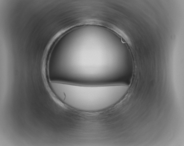 X0000113331136200909141002