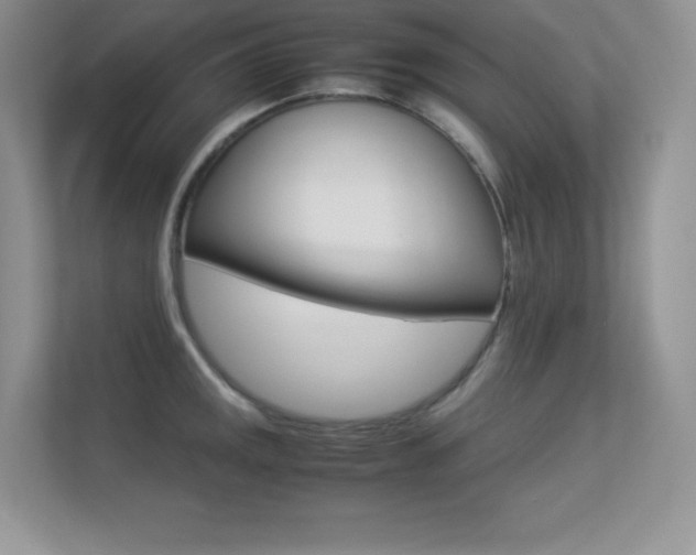 X0000113331141200909141002