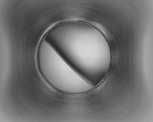 X0000113331142200909141002