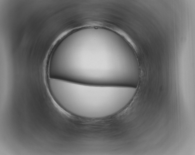 X0000113331143200909141002