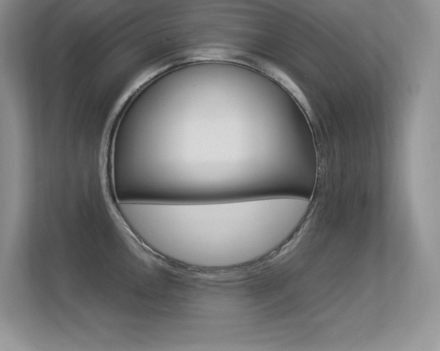 X0000113331146200909141002