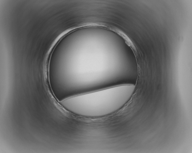 X0000113331148200909141002