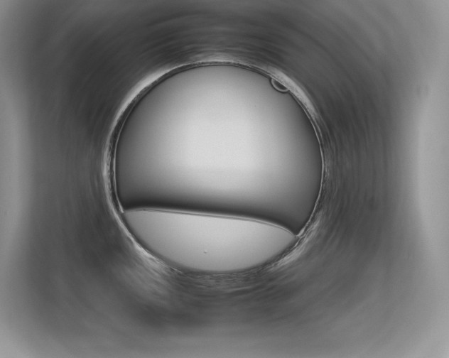 X0000113331149200909141002