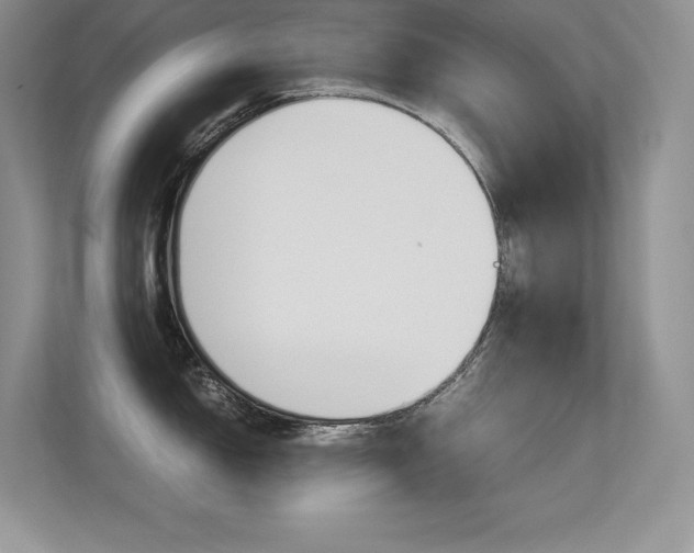 X0000113331150200909141002