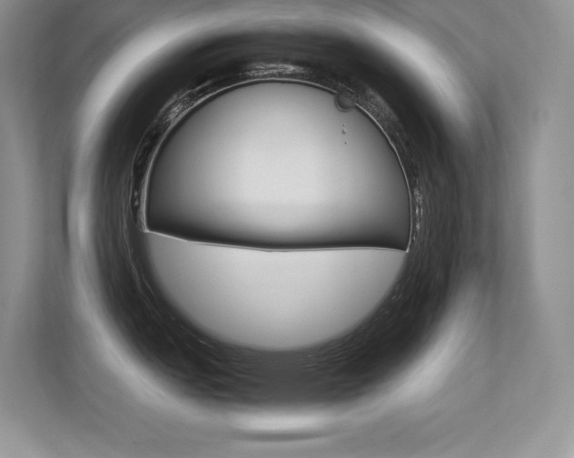 X0000113331151200909141002