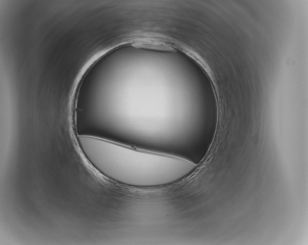 X0000113331152200909141002