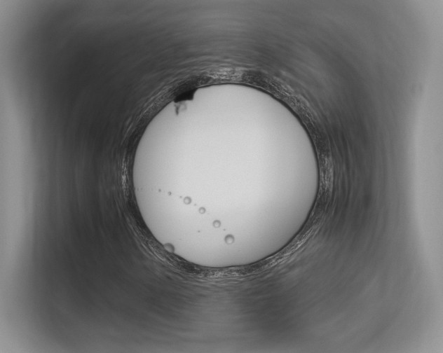 X0000113331154200909141001