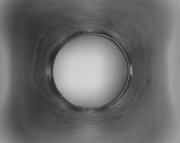 X0000113331155200909141001