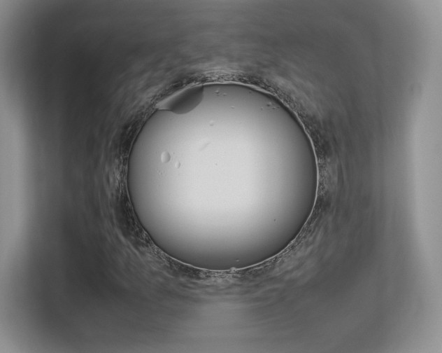 X0000113331157200909141001