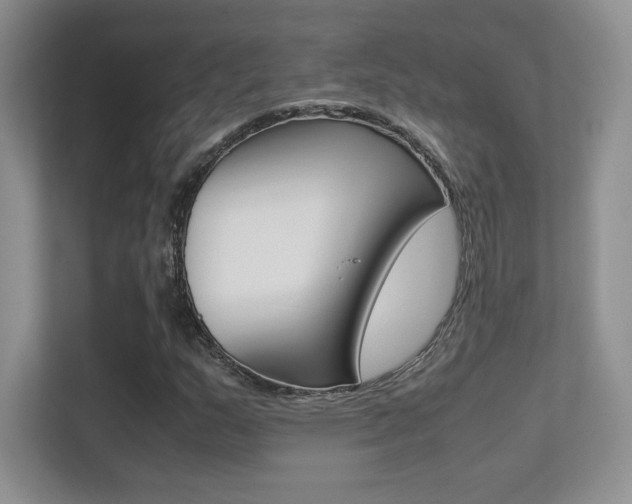 X0000113331159200909141001