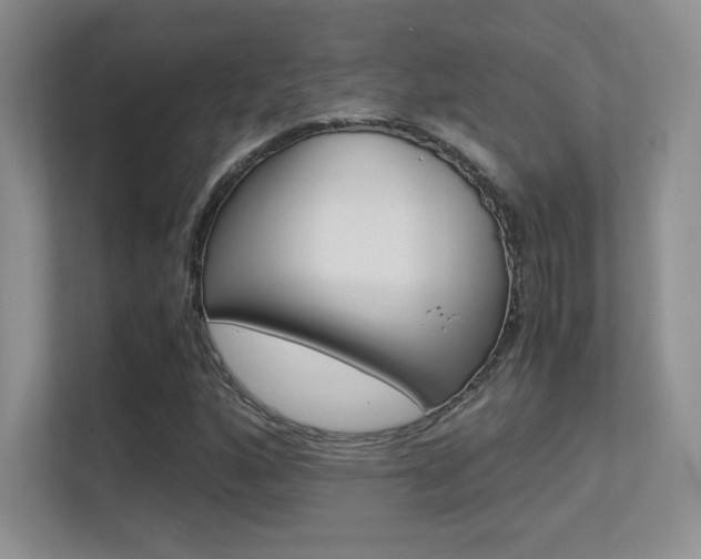 X0000113331160200909141001