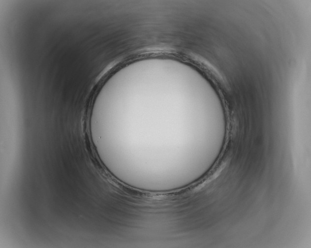 X0000113331162200909141001