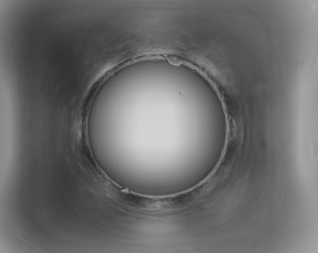 X0000113331165200909141001