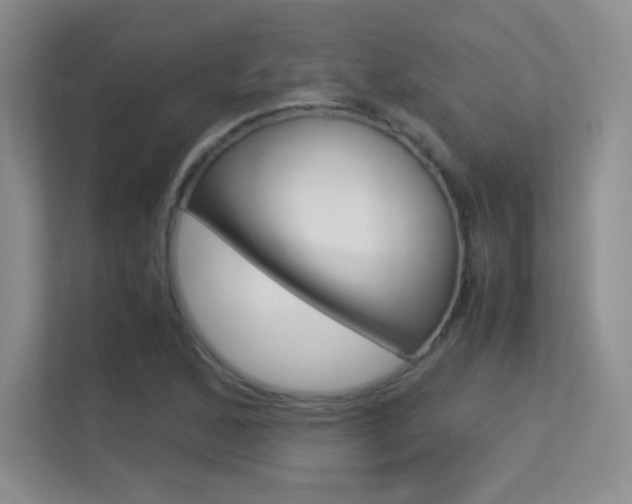 X0000113331168200909141001