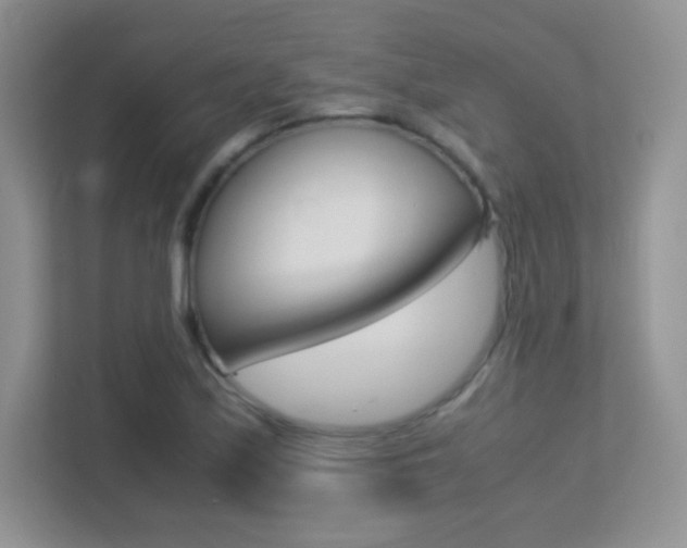 X0000113331171200909141001