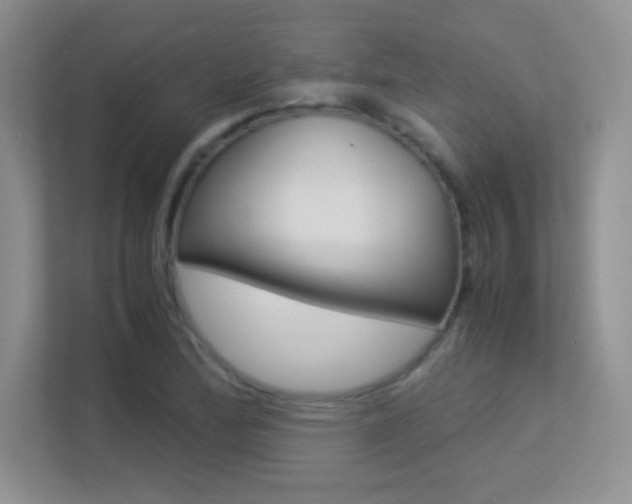 X0000113331172200909141001