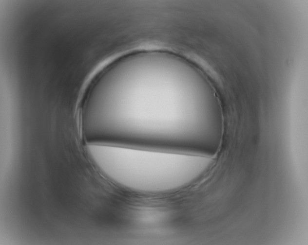 X0000113331175200909141001