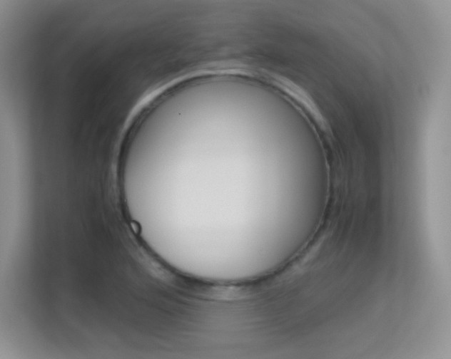 X0000113331176200909141001