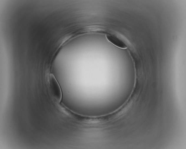 X0000113331177200909141001