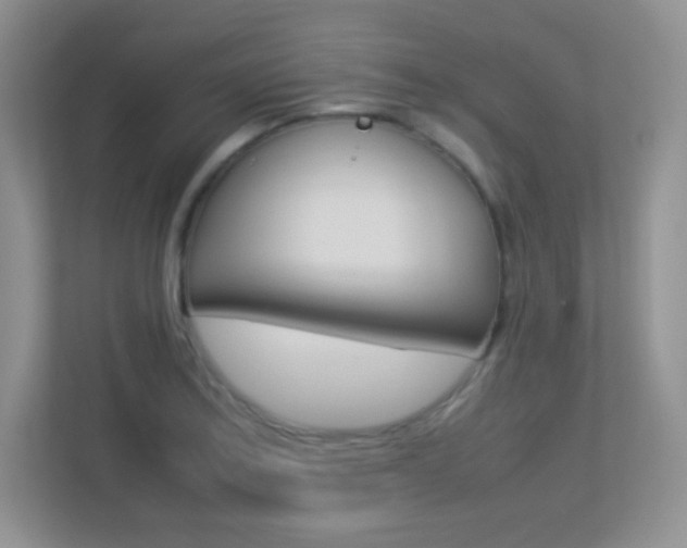 X0000113331179200909141001