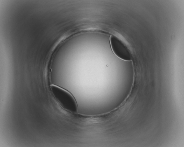 X0000113331181200909141001