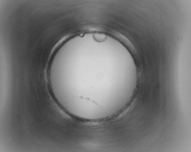 X0000113331182200909141001