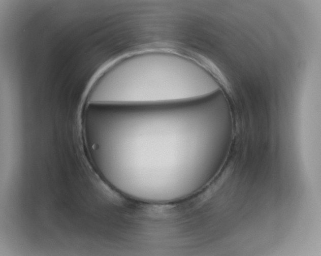 X0000113331184200909141001