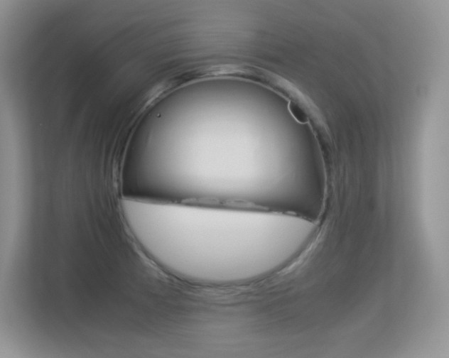 X0000113331185200909141001