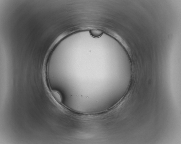 X0000113331187200909141001