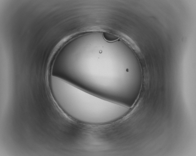 X0000113331188200909141001