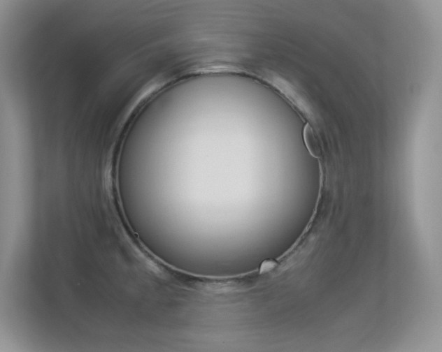 X0000113331189200909141001