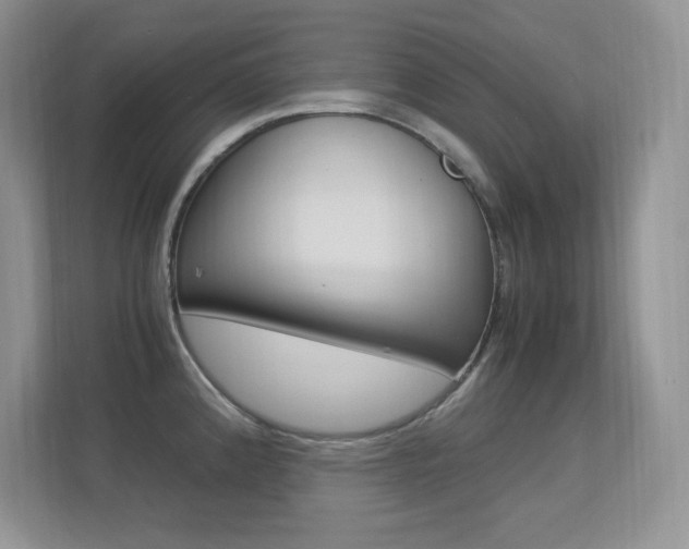 X0000113331192200909141001