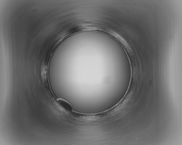 X0000113331193200909141001