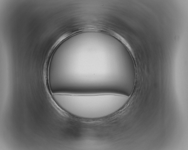 X0000113331195200909141001