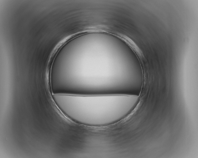 X0000113331196200909141001