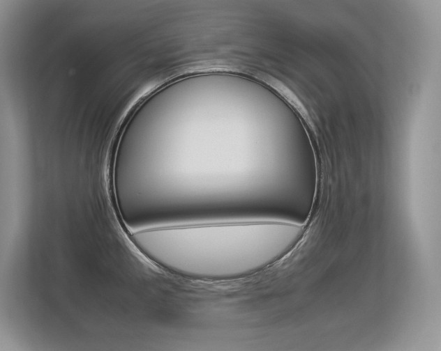 X0000113331197200909141001