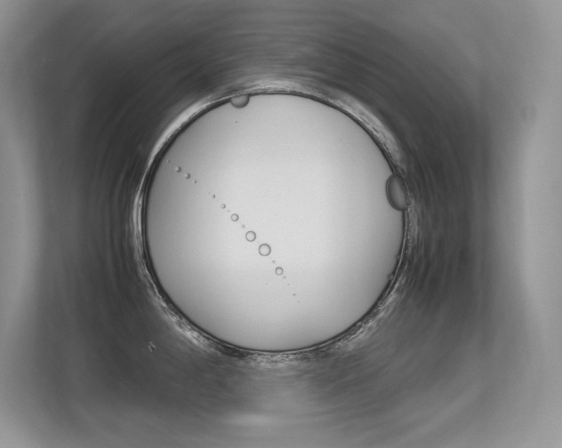 X0000113331198200909141001