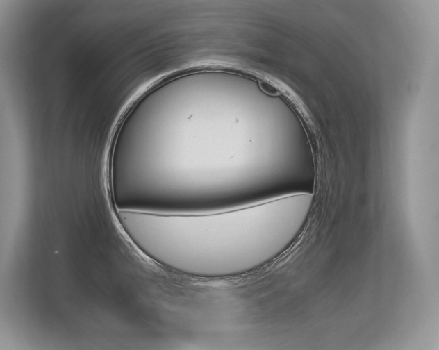 X0000113331199200909141001
