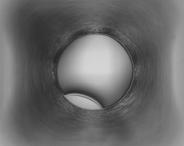 X0000113331202200909141000
