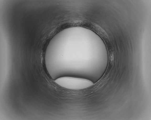 X0000113331204200909141000