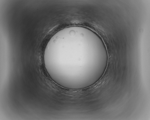 X0000113331205200909141000
