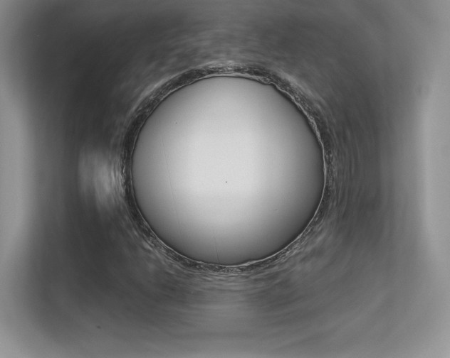X0000113331206200909141000