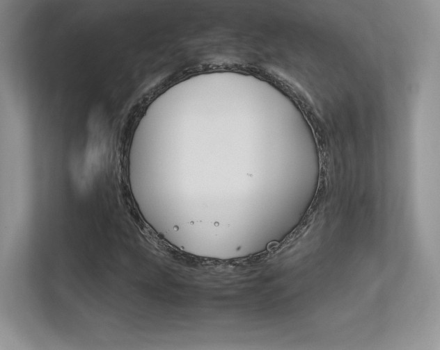 X0000113331207200909141000