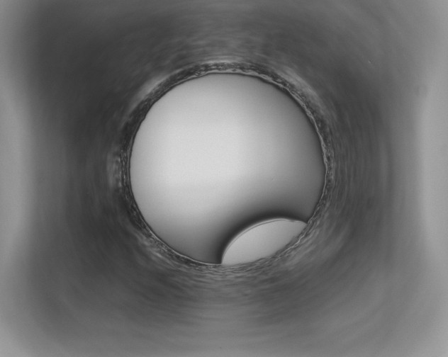 X0000113331208200909141000