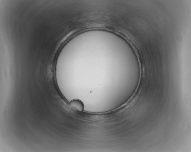 X0000113331212200909141000