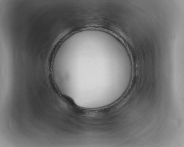 X0000113331213200909141000