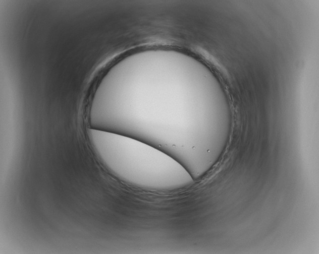 X0000113331215200909141000