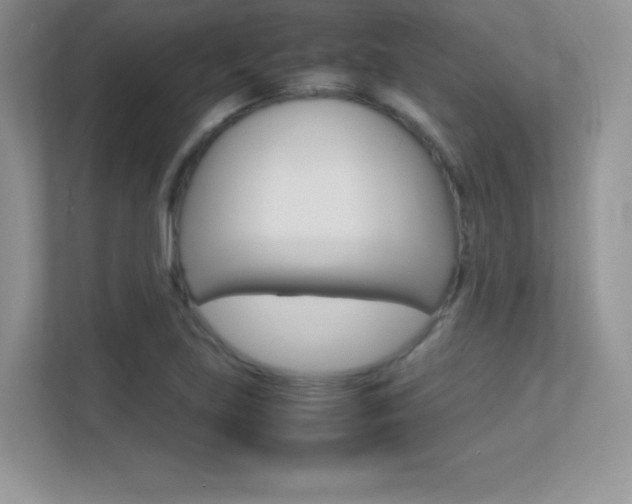X0000113331219200909141000
