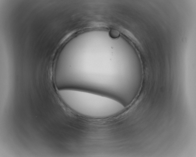 X0000113331220200909141000
