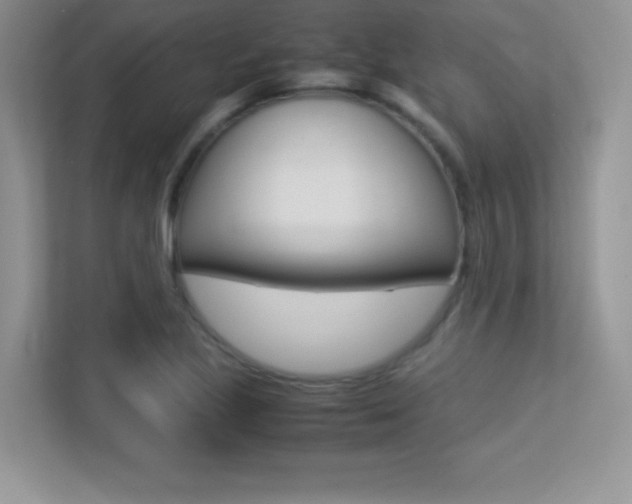 X0000113331221200909141000